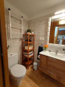 a bathroom with a toilet and a sink and a mirror at Casa Luka Etxea in Zábal
