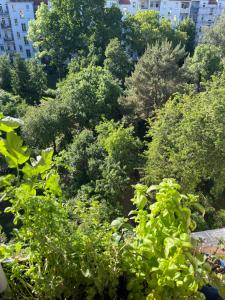 Φυσικό τοπίο κοντά σε αυτό το δωμάτιο σε οικογενειακή κατοικία