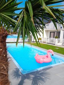 a pink plastic swan in a swimming pool at Ferienhaus für 5 Personen ca 55 qm in Mielno, Ostseeküste Polen in Mielno