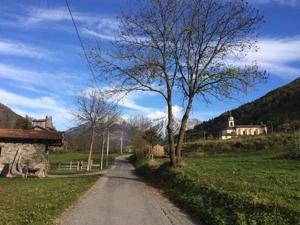 un árbol al lado de un camino de tierra en Zimmer Arianna, en Alpe Strencia