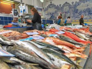 a group of fish on display in a market at Sea View Wterrace 2 Mins From Beach In Old Town in Cascais