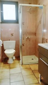 een badkamer met een douche, een toilet en een wastafel bij Appartement de 2 chambres a Mimizan a 100 m de la plage avec terrasse amenagee in Mimizan