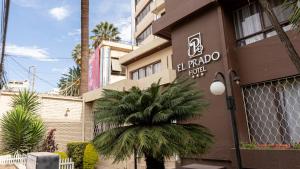 a palm tree in front of a hotel at El Prado Hotel in Cochabamba