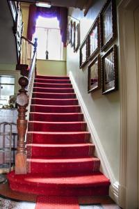 a red carpeted staircase in a building with a red rug at Innisfree House in Dundalk