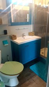 een badkamer met een toilet, een wastafel en een douche bij Charmant appartement au cœur de la montagne Corse in Zoza
