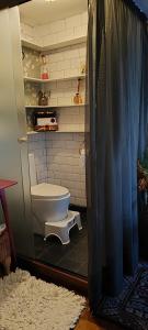 y baño con aseo y cabina de ducha. en Loft Oásis 1707 en São Paulo