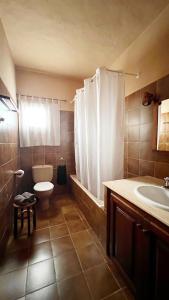 un bagno con wc, lavandino e doccia di Casa Christine a Playa Migjorn Altre 26 foto