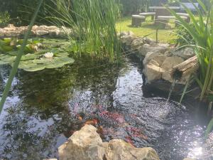 Zahrada ubytování Lelle-kert Apartman 01