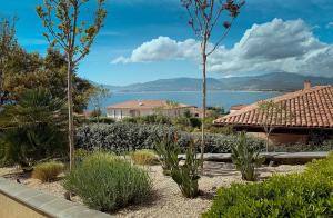 a garden with plants and a view of the water at PORTICCIO Maison vue mer in Porticcio
