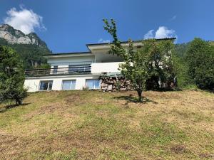 ein Haus auf einem Hügel mit einem Baum in der Unterkunft Rosenhof Bauen in Bauen