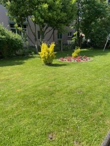 a garden with flowers in the middle of a yard at Bel Appartement en RDC proche Strasbourg Nice apartment very near Strasbourg in Strasbourg