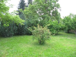 Vonkajšia záhrada v ubytovaní Budai Garden House