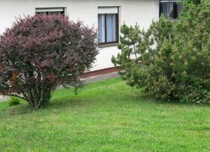 Vonkajšia záhrada v ubytovaní Budai Garden House