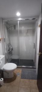 ein Bad mit einer Dusche und einem weißen WC in der Unterkunft Triana, Lovely Flat+Pool in Sevilla