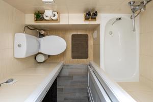 a small bathroom with a shower and a toilet at Loft apartment in Klaipeda Oldtown in Klaipėda +25 photos