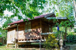 a small wooden house in a forest at Saranghae Home Chiang Dao in Ban Tham