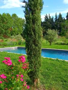 een boom met roze bloemen naast een zwembad bij Roulotte Karlotte in Pernes-les-Fontaines