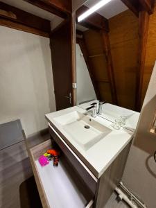 a bathroom with a sink and a mirror at Chalet de montagne in Ustou +18 photos