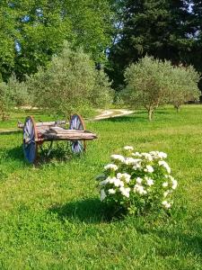 een houten bank in een veld met bloemen bij Roulotte Karlotte in Pernes-les-Fontaines