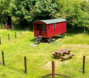 een rode treinwagon naast een picknicktafel bij Wicklow Wild Glamping Shepherds Huts at Greenan Maze in Rathdrum
