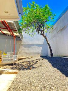 a tree in front of a building with a swing at Casa Matiza in Santiago Este