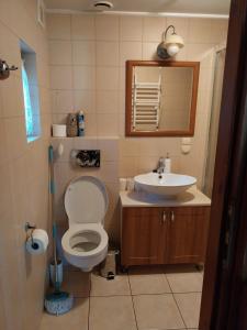 a bathroom with a toilet and a sink and a mirror at Domek na żołędziowej in Morzyczyn +36 photos