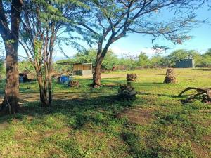 a field with trees and a house in the background at Popo Camp Lake Baringo in Ol Kokwe