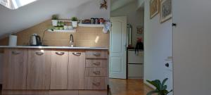 a kitchen with wooden cabinets and a sink at Apartman "Andjela" in Belgrade