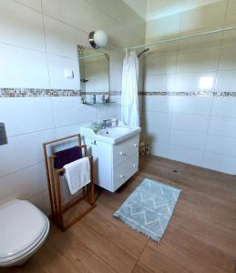 un bagno con un lavandino bianco e un water di Casa Alegria - Vista da Serra a Tomar