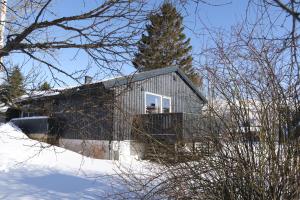 mały domek na śniegu z drzewem w obiekcie G29 sokkelleilighet sentralt i Tromsø, ca. 50kvm. w mieście Tromsø