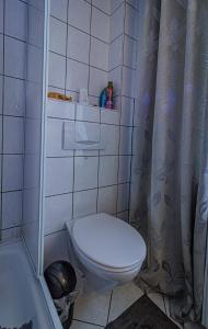 a bathroom with a toilet and a shower curtain at Wohnen über einem mediterranen Restaurant,Apartment 2 oder 3 in Leipzig