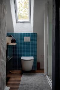 a bathroom with a toilet and a blue tile wall at Wallys Hüsli im Schwarzwald in Ühlingen-Birkendorf