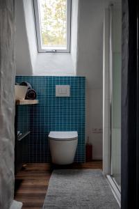 a bathroom with a toilet and a blue tile wall at Wallys Hüsli im Schwarzwald in Ühlingen-Birkendorf +16 photos