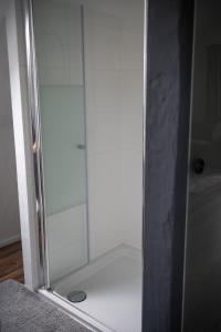 La salle de bains est pourvue d'une douche avec une porte en verre. dans l'établissement Wallys Hüsli im Schwarzwald, à Ühlingen-Birkendorf