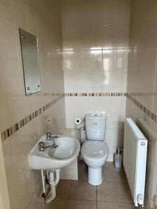 a small bathroom with a toilet and a sink at Doctors, Nurses, Families and contractors welcome in Huntingdon +16 photos