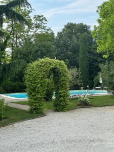 a hedge in front of a swimming pool at B&B La Terrazza in Pozzolengo