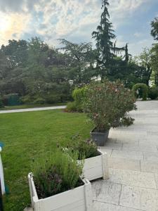 zwei Holzkästen mit Blumen im Garten in der Unterkunft B&B La Terrazza in Pozzolengo