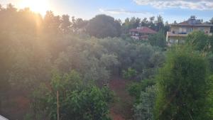 Φωτογραφία από το άλμπουμ του Gizli bir Cennet (A Hidden Paradise) στην Αττάλεια