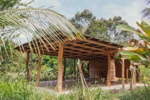 a wooden pavilion with a roof in a garden at La Ponderosa Reserve in Buritaca