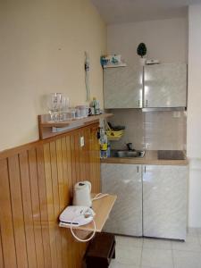 una piccola cucina con bancone e lavandino di Apartment Lemon a Dubrovnik