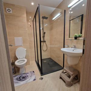 a bathroom with a shower and a toilet and a sink at Private Apartment in Star Dreams Complex in Sveti Vlas