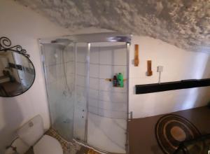 a bathroom with a shower and a toilet in a room at El gato genial in Santa Cruz de Tenerife