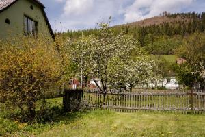 Příroda nedaleko prázdninového domu