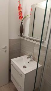 Un baño de Sobe Tanja