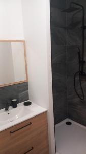 ein Badezimmer mit Dusche, Waschbecken und Spiegel in der Unterkunft le domaine de thizy in Thizy-les-Bourgs