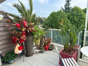 Balkón alebo terasa v ubytovaní 7Appt, TERRASSE ,Vélo , Plages & port à proximité , idéalement bien Situé, Dernier étage