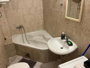 Koupelna v ubytování GOLD Apartman