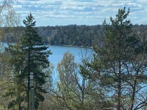 widok na jezioro pomiędzy dwoma drzewami w obiekcie Sand w mieście Nynäshamn