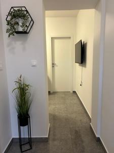 un corridoio con una porta e una pianta in vaso di Apartments Angelo a Zara (Zadar)