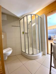 y baño con ducha y aseo. en Appartement Haus Faßwald en Obertauern